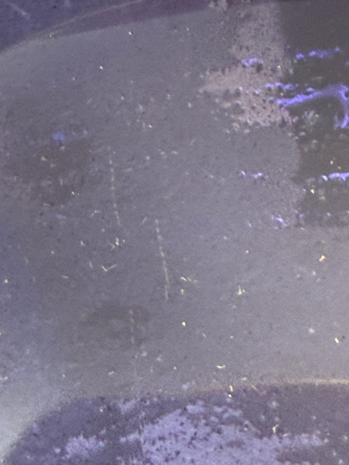 Annieglass Cobalt Blue Triangular Plate, Signed & Dated