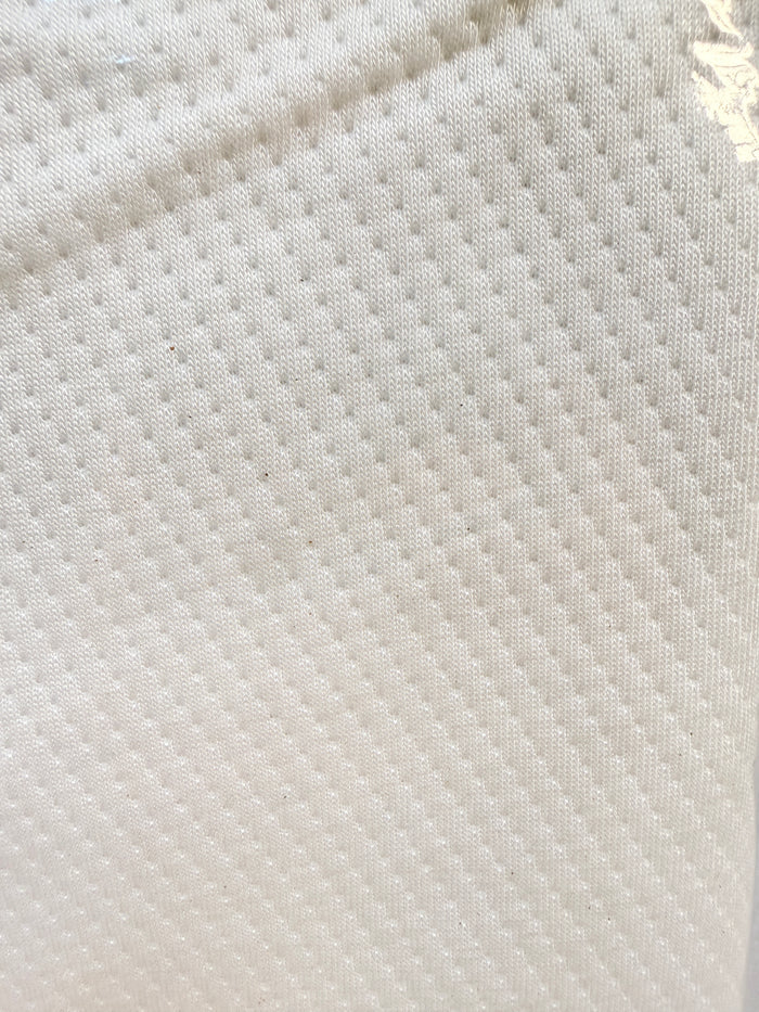 COOP Home Goos Lulltra Body Pillow Protector - Fits 20" x 54" -  Brand New!