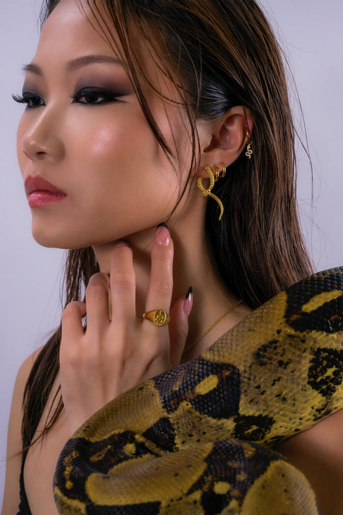 CZ Snake Hoop Charm - Flaire & Co.