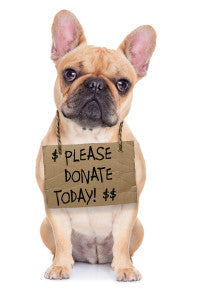 Donation to Homeless Pets