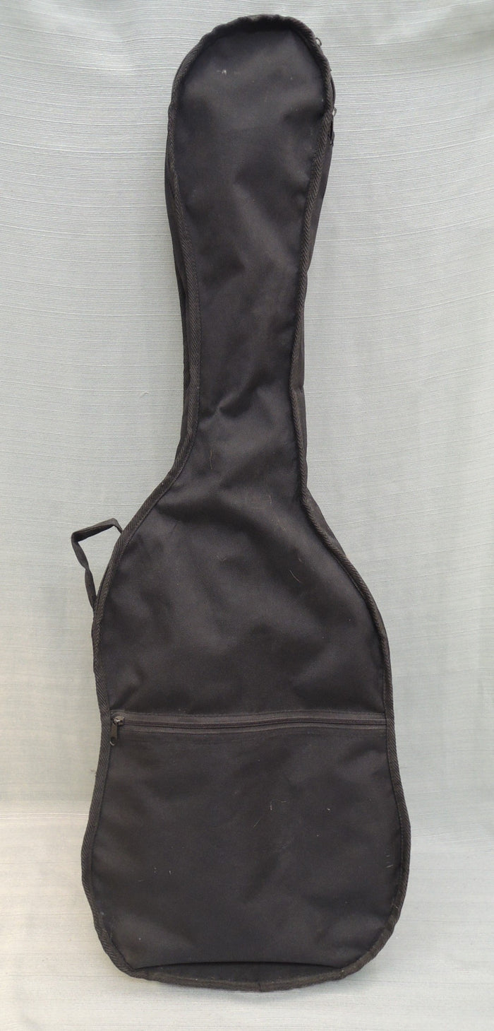 Generic Stratocaster-Shape Electric Guitar Body