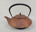 Iwachu Dragonfly Teapot