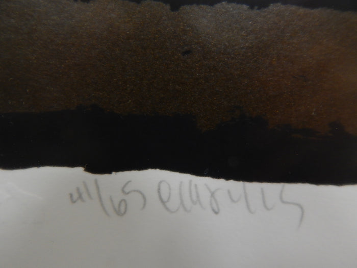 La Elegante, Signed by Artist Amado Pena