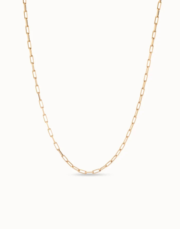 Long Link Chain