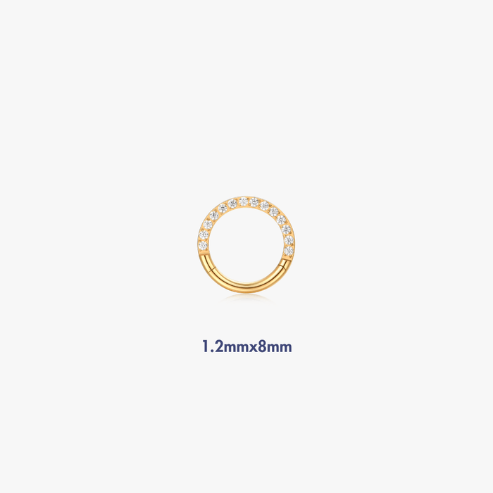 Pave Titanium Hoop (Single) - Flaire & Co.