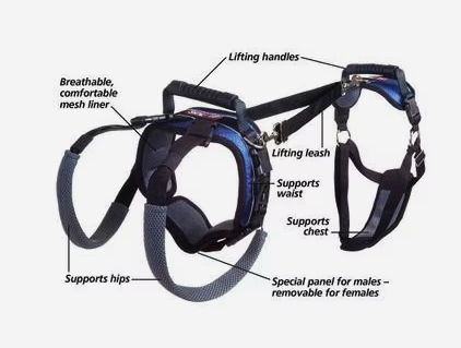 PetSafe CareLift Full Body Support Dog Harness, Large (70-130 lb.) - New in Open Box