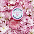 Sakura Rose Lip Tin