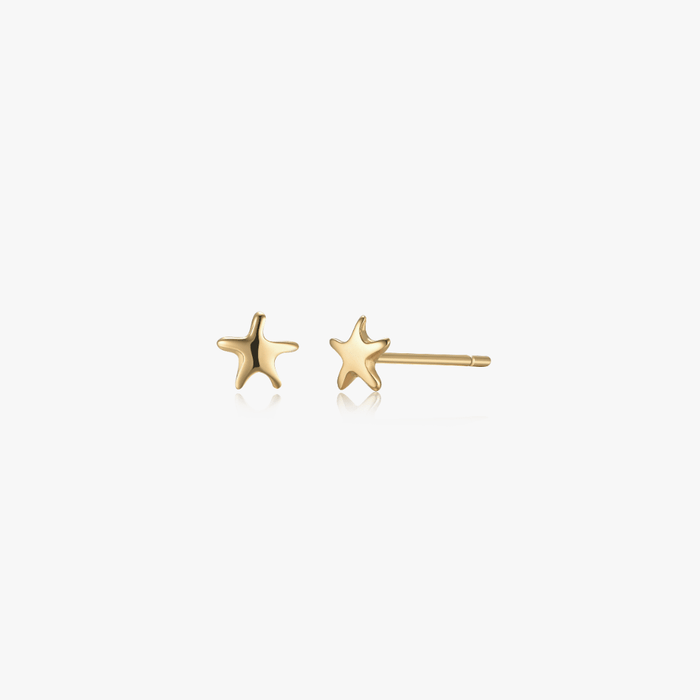 Sea Star Studs - Flaire & Co.