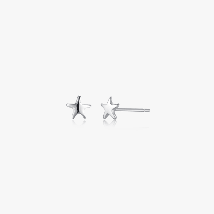 Sea Star Studs - Flaire & Co.