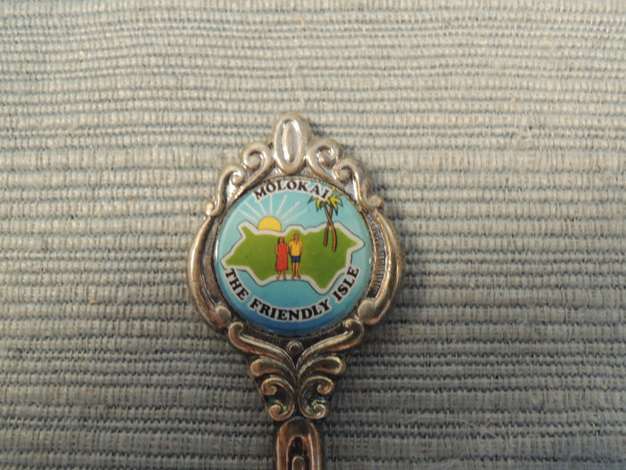 Set of 6 Souvenir of Hawaii Demitasse Spoons