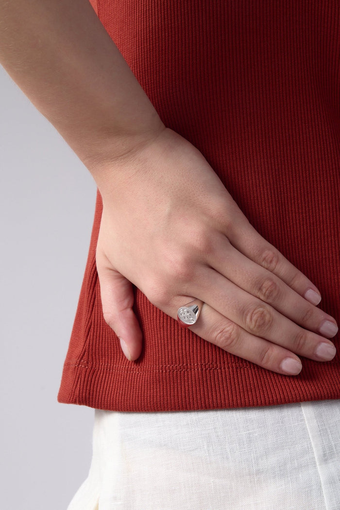 Snake Signet Ring - Flaire & Co.