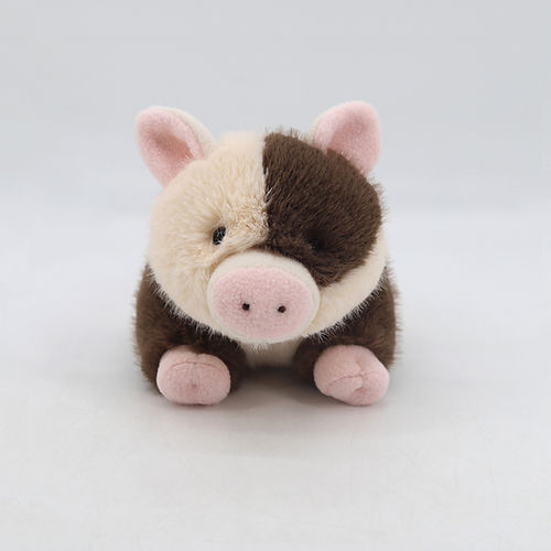 Spotty Pig