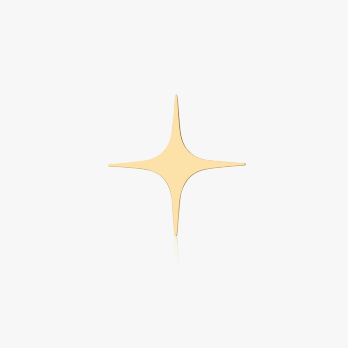The Star Brooch - Flaire & Co.