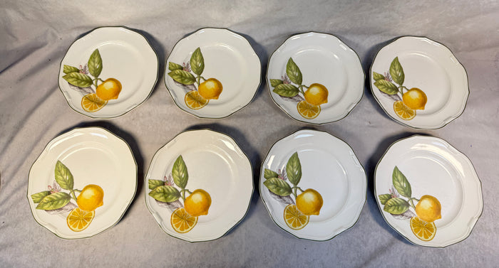 Villeroy & Boch Cascara 8" Salad Plates - Lot of 8
