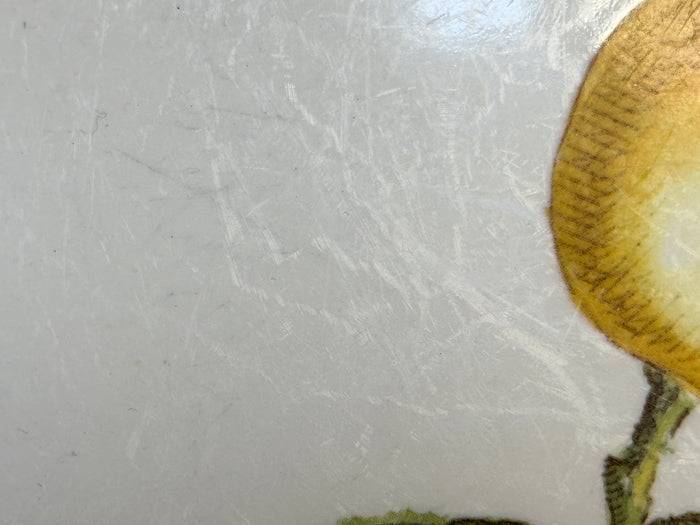 Villeroy & Boch Cascara 8" Salad Plates - Lot of 8